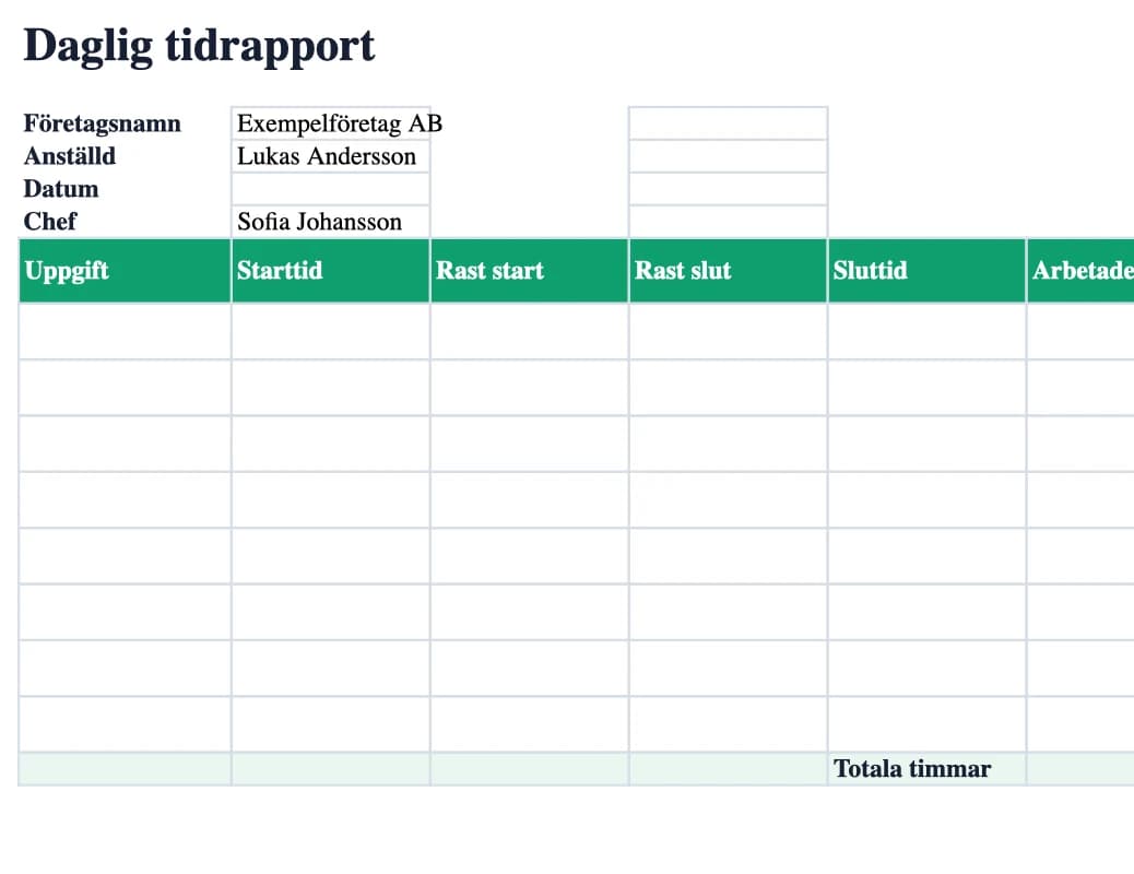 Excel-förhandsvisning: Daglig tidrapport